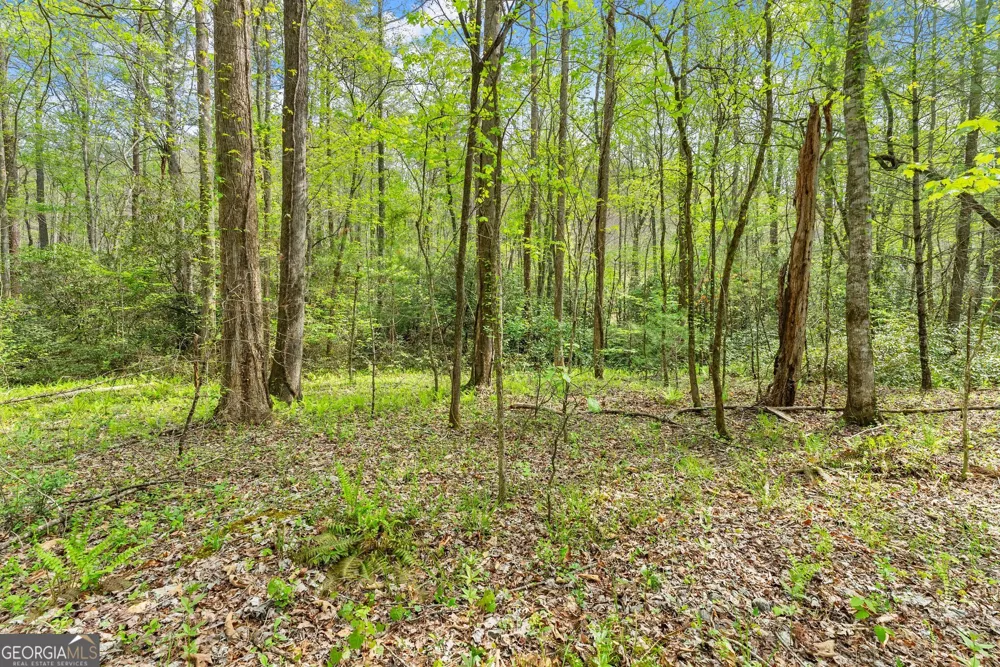 0 S Fern Cove RD Sautee Nacoochee, GA 30571