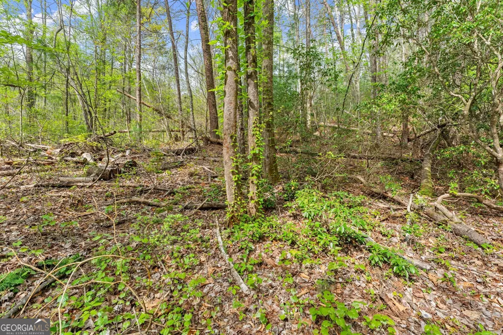 0 S Fern Cove RD Sautee Nacoochee, GA 30571