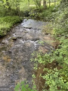 0 S Fern Cove RD Sautee Nacoochee, GA 30571