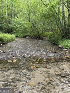 0 S Fern Cove RD Sautee Nacoochee, GA 30571