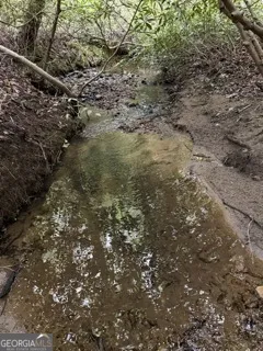 0 S Fern Cove RD Sautee Nacoochee, GA 30571