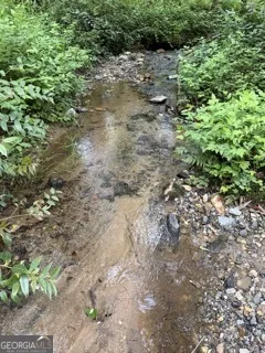 0 S Fern Cove RD Sautee Nacoochee, GA 30571