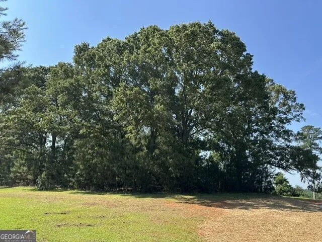 3511 New High Shoals RD Bishop, GA 30621