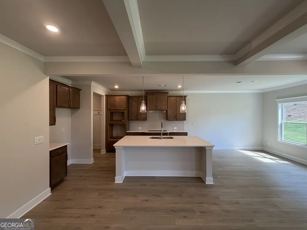 83 Bufflehead PASS Jefferson, GA 30549