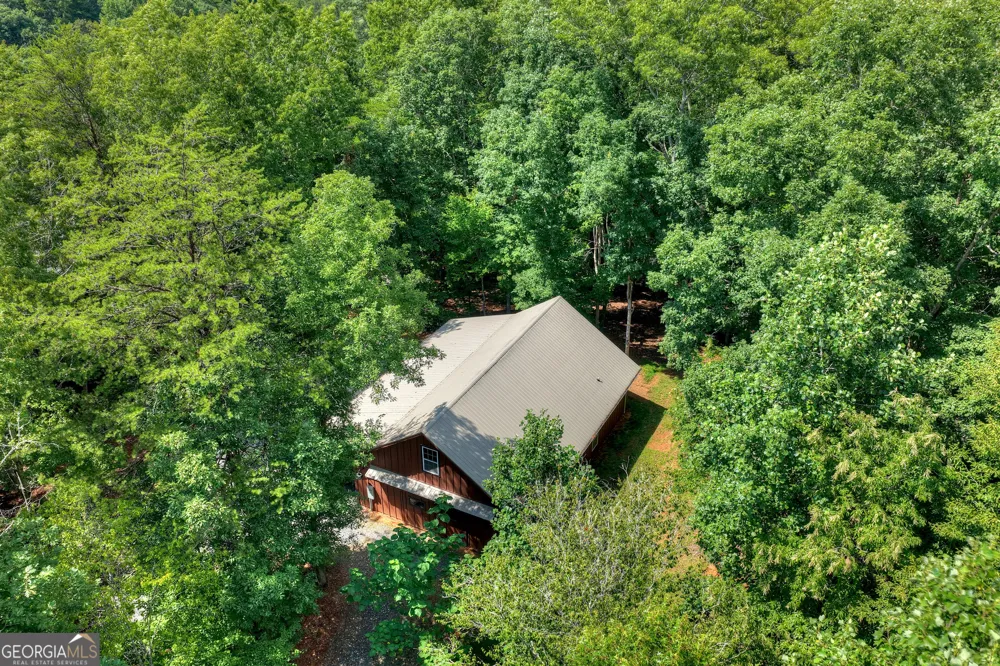160 Adams CIR Mineral Bluff, GA 30559