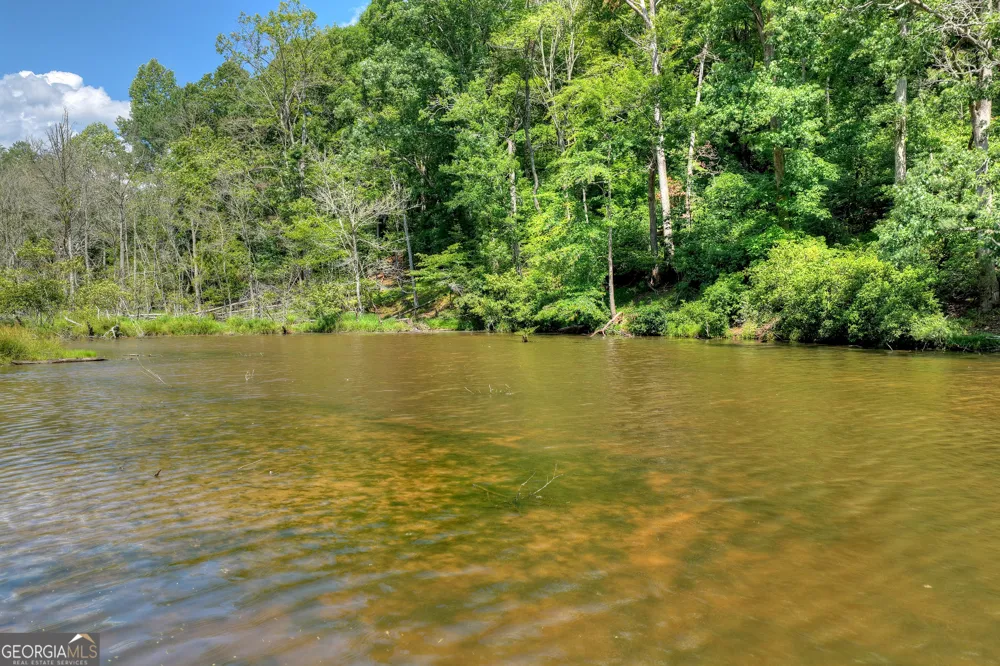 160 Adams CIR Mineral Bluff, GA 30559