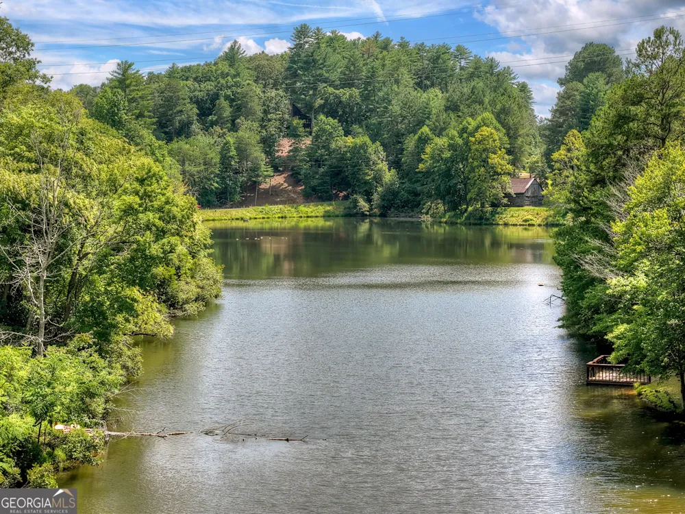 160 Adams CIR Mineral Bluff, GA 30559