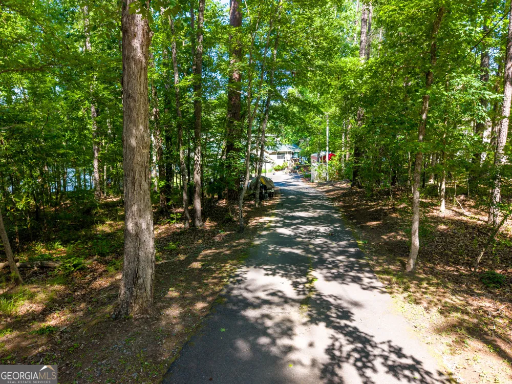 32 Dandelion CV Sparta, GA 31087