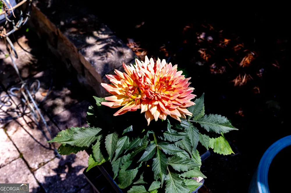 32 Dandelion CV Sparta, GA 31087