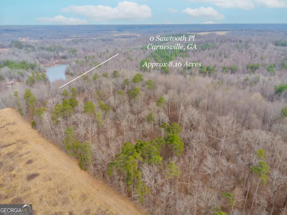 0 Sawtooth PL Carnesville, GA 30521