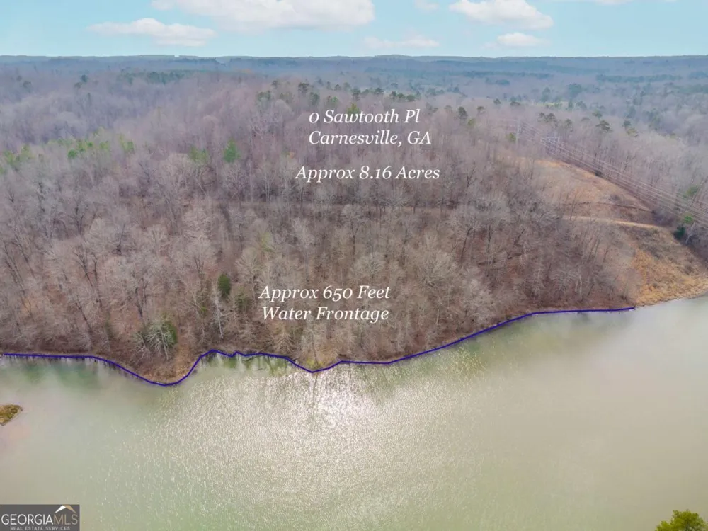 0 Sawtooth PL Carnesville, GA 30521