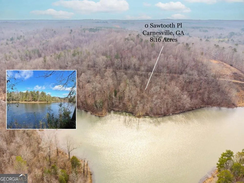 0 Sawtooth PL Carnesville, GA 30521