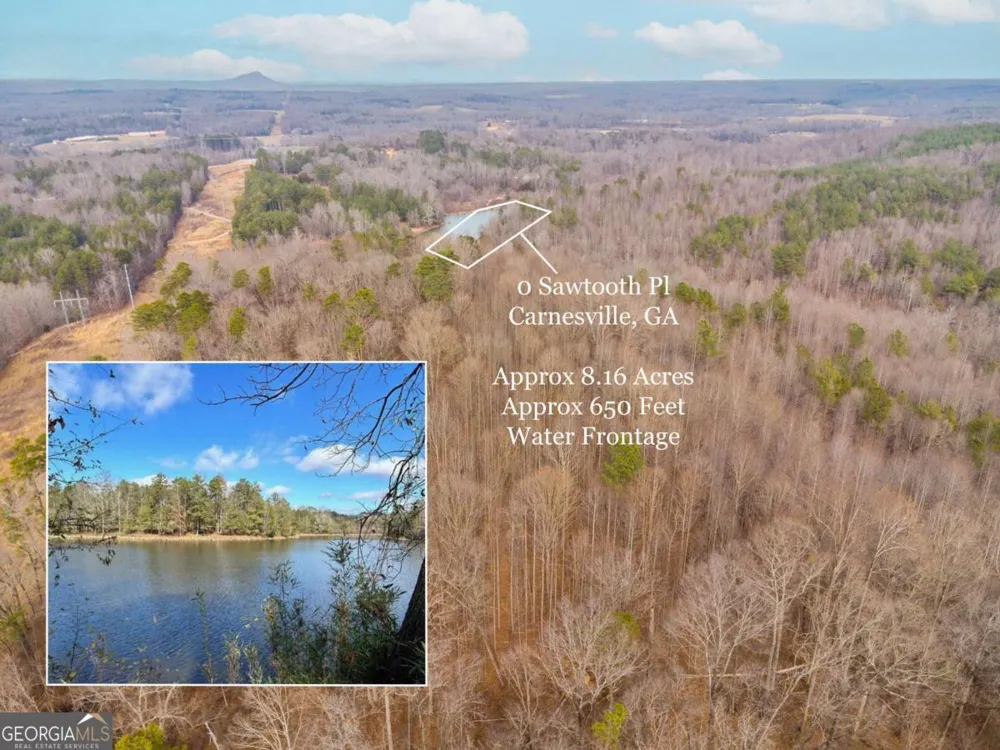 0 Sawtooth PL Carnesville, GA 30521