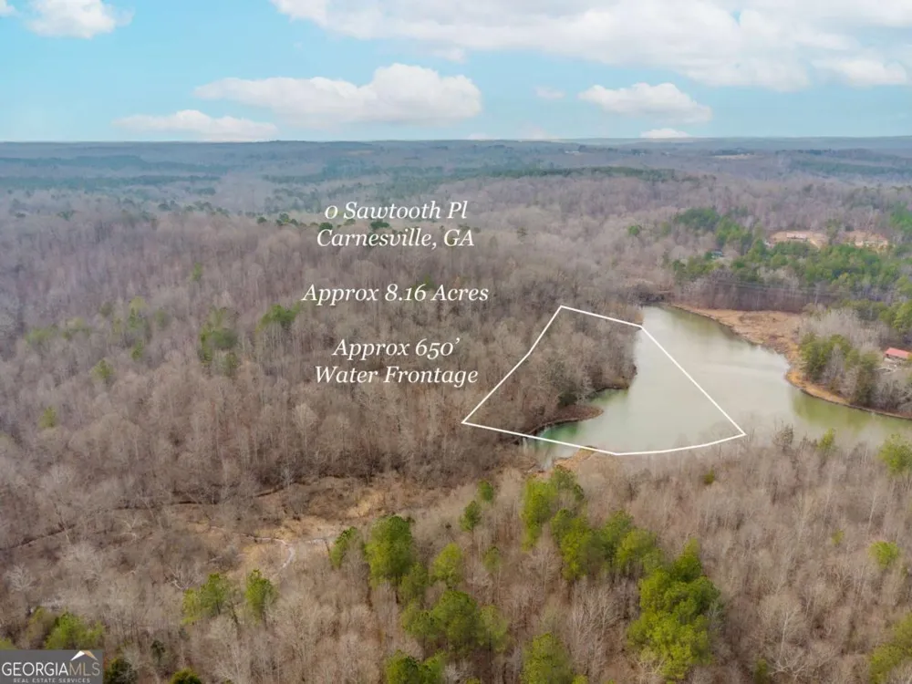 0 Sawtooth PL Carnesville, GA 30521