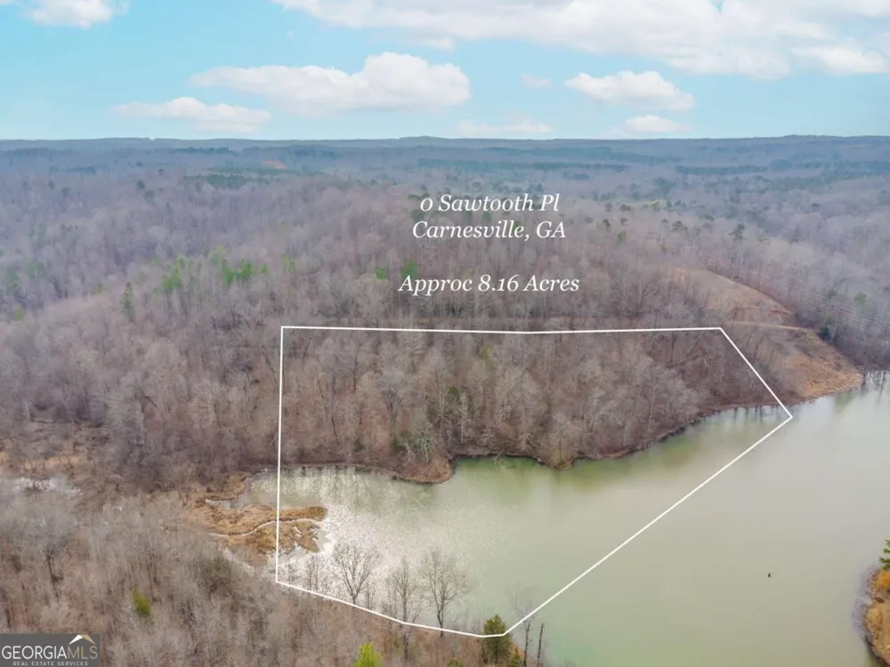0 Sawtooth PL Carnesville, GA 30521