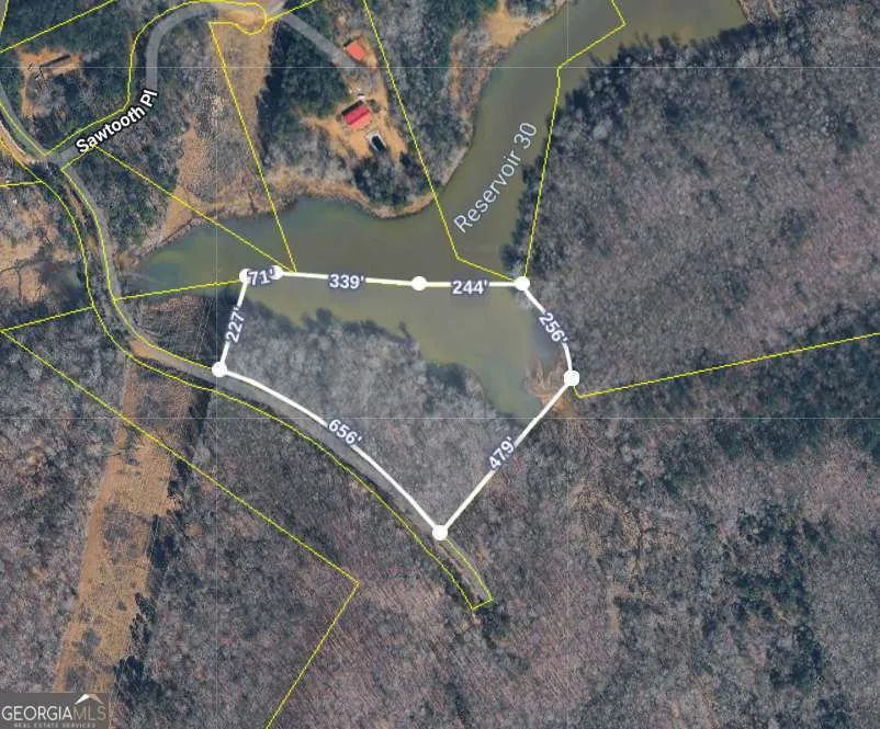 0 Sawtooth PL Carnesville, GA 30521
