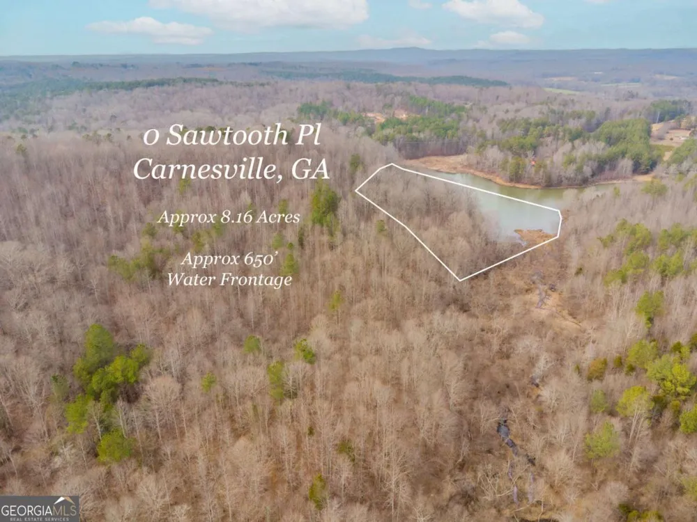 0 Sawtooth PL Carnesville, GA 30521