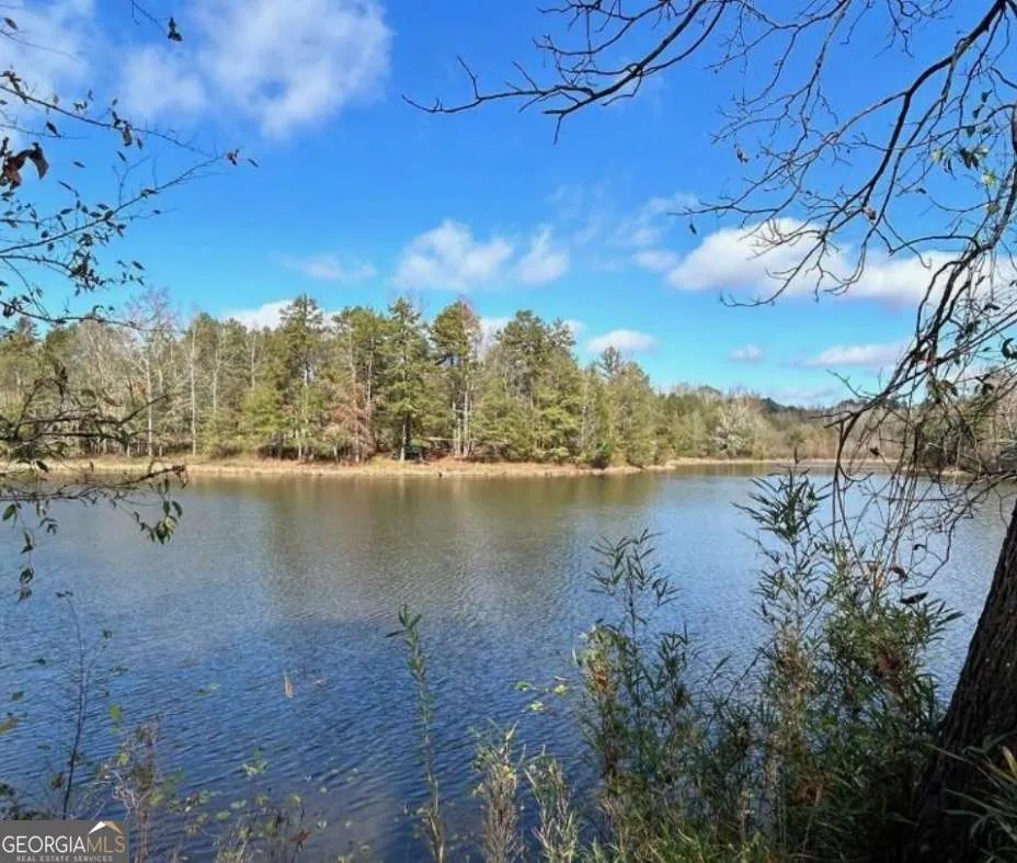 0 Sawtooth PL Carnesville, GA 30521