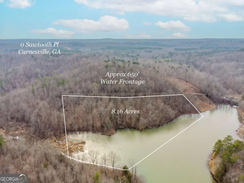 0 Sawtooth PL Carnesville, GA 30521