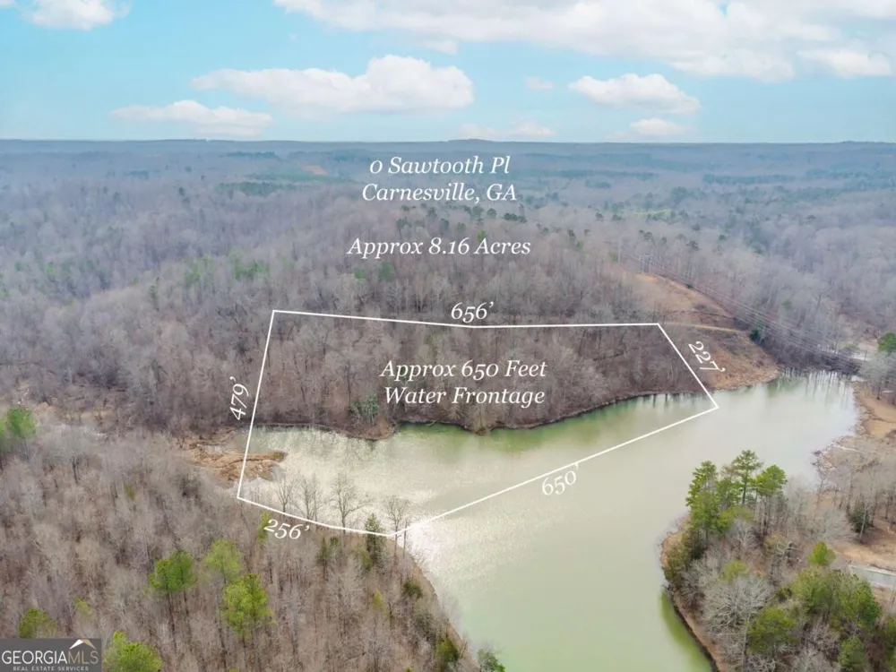 0 Sawtooth PL Carnesville, GA 30521