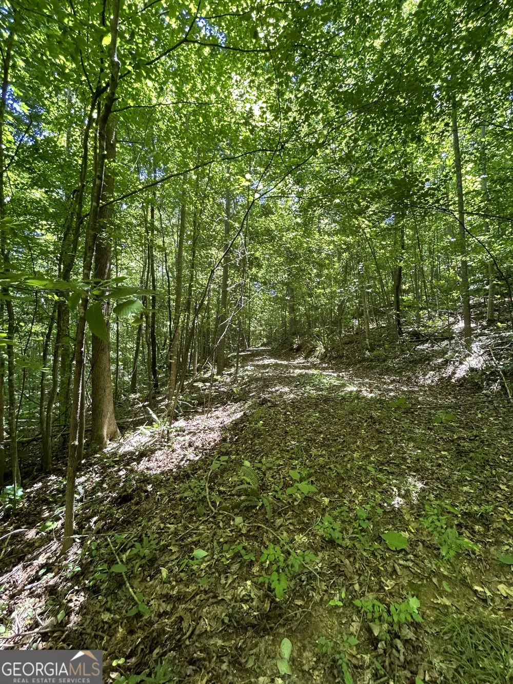 0 Sawtooth PL Carnesville, GA 30521