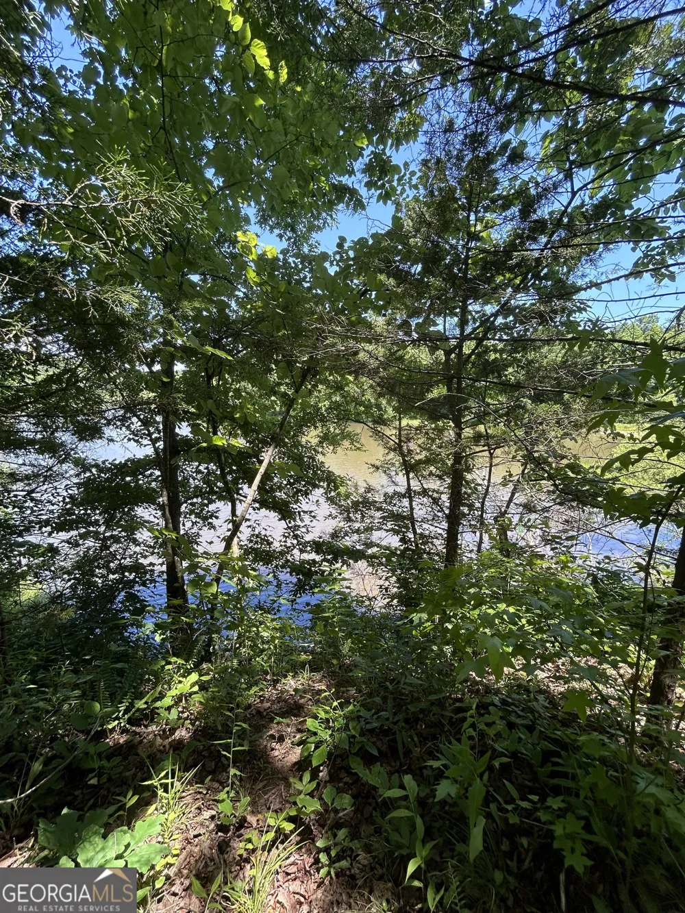 0 Sawtooth PL Carnesville, GA 30521