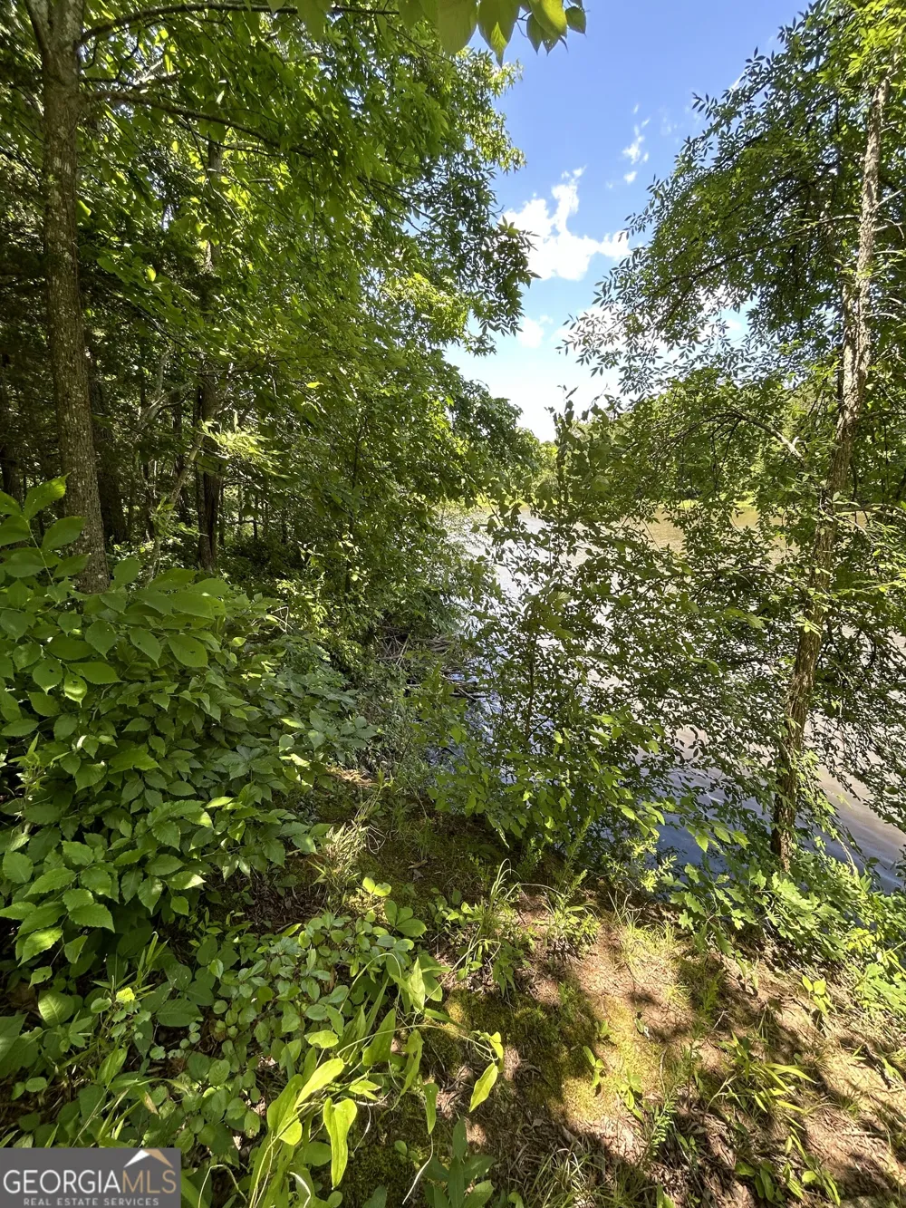 0 Sawtooth PL Carnesville, GA 30521