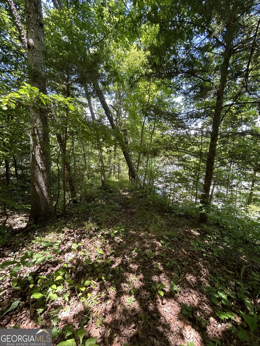0 Sawtooth PL Carnesville, GA 30521
