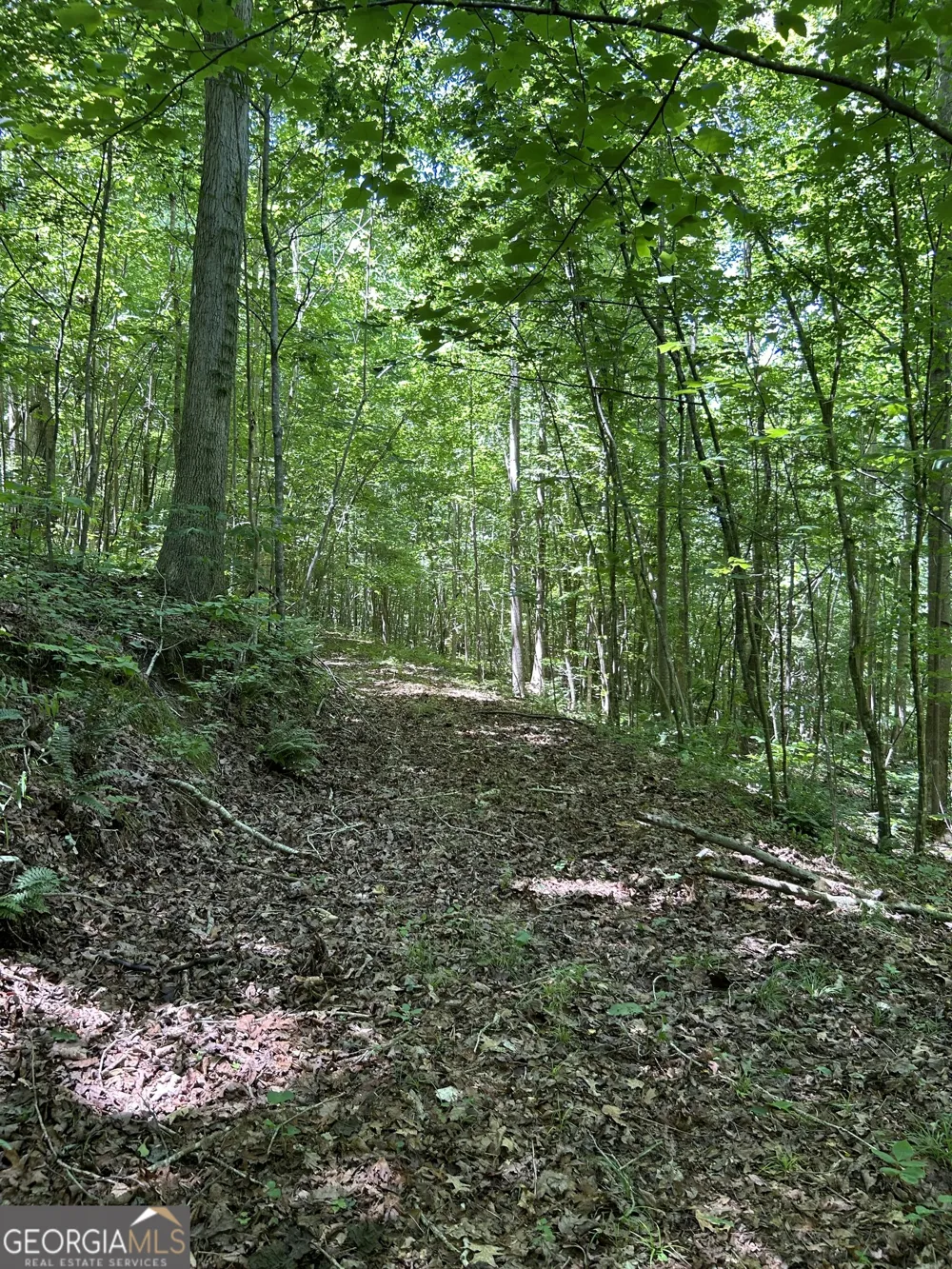 0 Sawtooth PL Carnesville, GA 30521