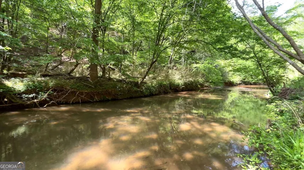 25 Mountain Creek TRL NE Fairmount, GA 30139