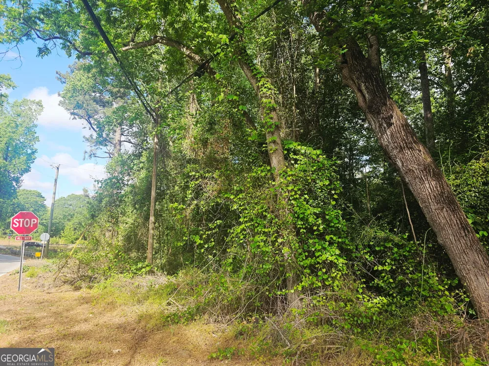 1956 Highway 20 NE Conyers, GA 30012
