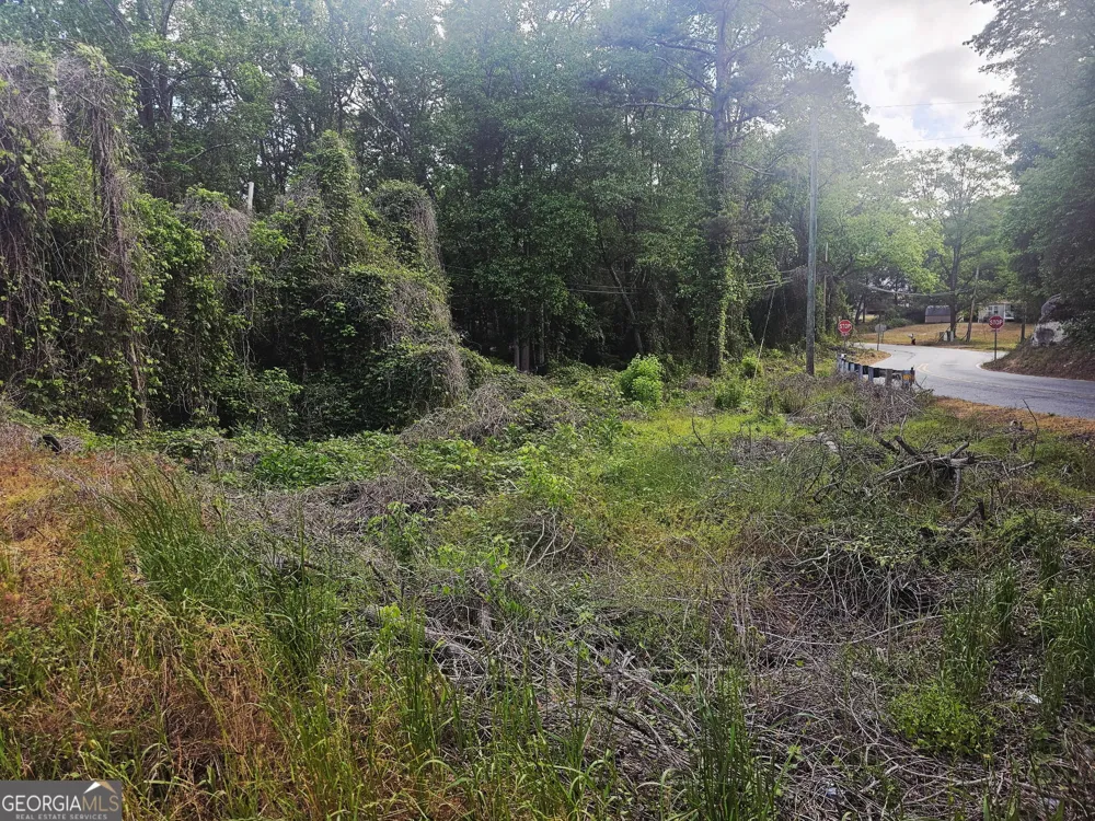 1956 Highway 20 NE Conyers, GA 30012