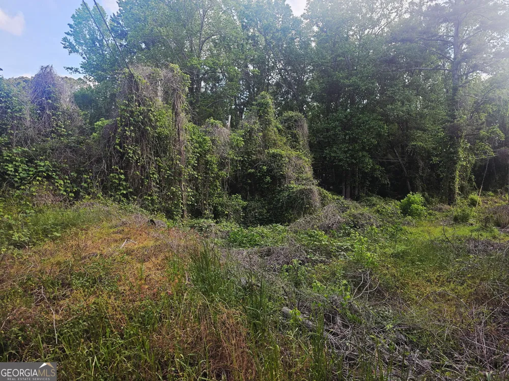 1956 Highway 20 NE Conyers, GA 30012