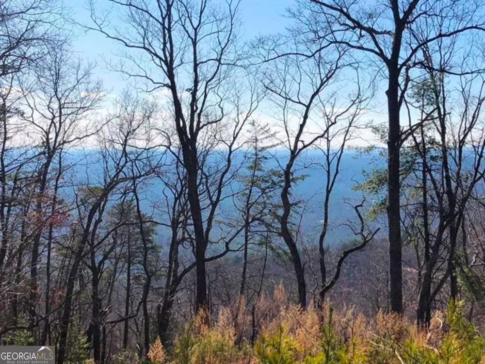 0 Coopers Gap RD Dahlonega, GA 30533