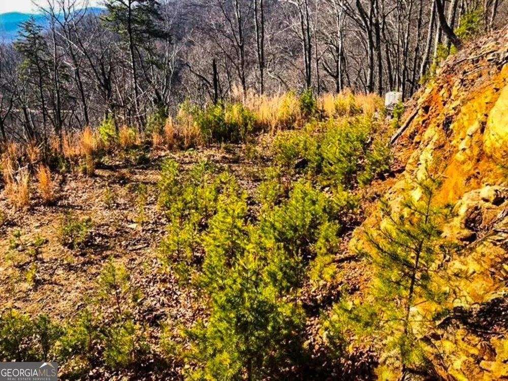 0 Coopers Gap RD Dahlonega, GA 30533