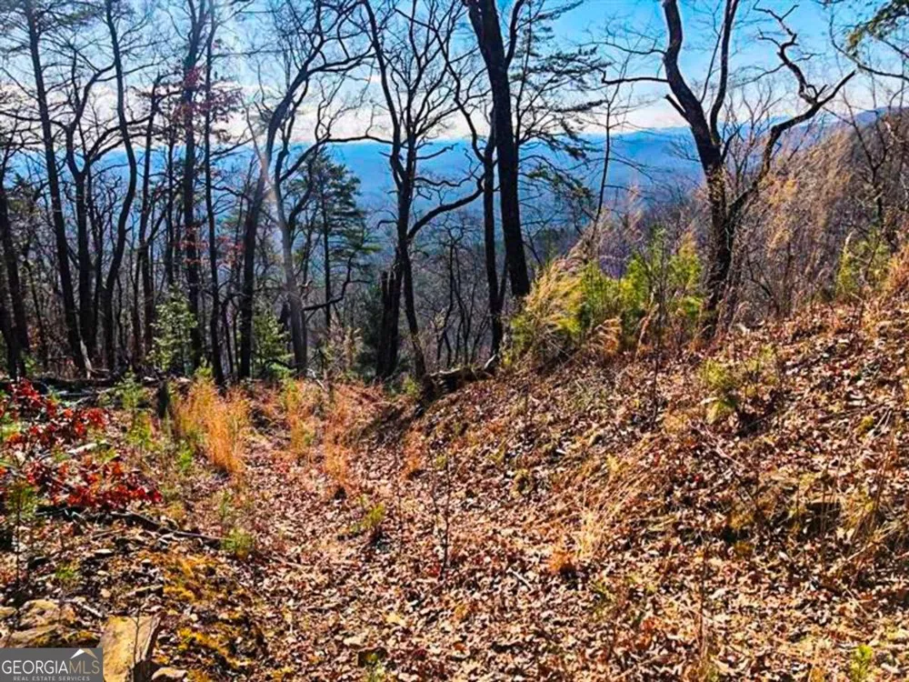 0 Coopers Gap RD Dahlonega, GA 30533
