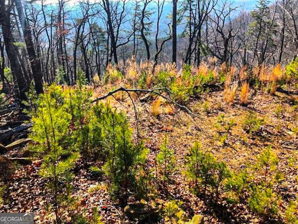 0 Coopers Gap RD Dahlonega, GA 30533