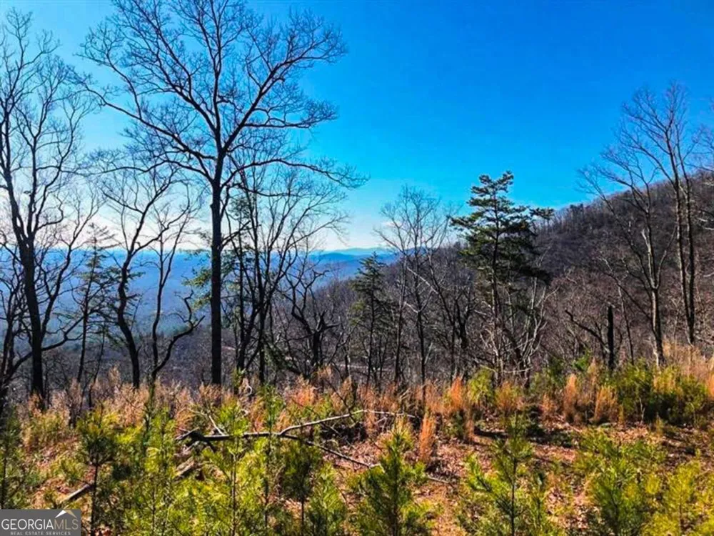 0 Coopers Gap RD Dahlonega, GA 30533