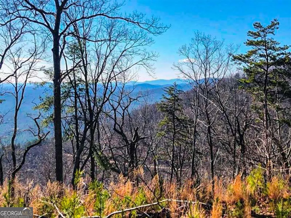 0 Coopers Gap RD Dahlonega, GA 30533