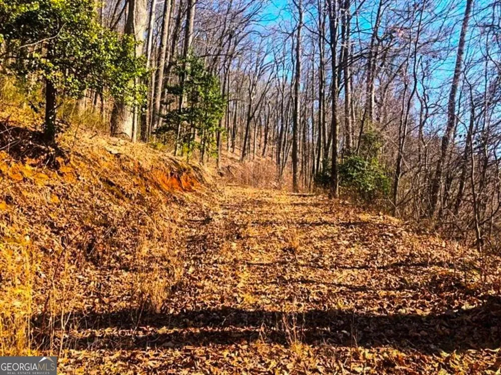 0 Coopers Gap RD Dahlonega, GA 30533