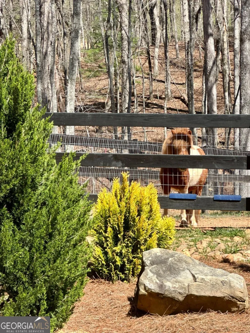 554 SE Tipton Springs RD Morganton, GA 30560