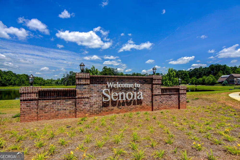 337 Asbury CT Senoia, GA 30276