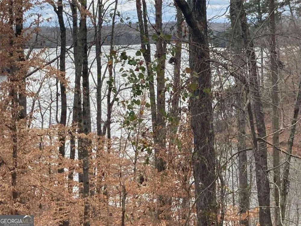 2510 Hidden Cove CT Gainesville, GA 30501