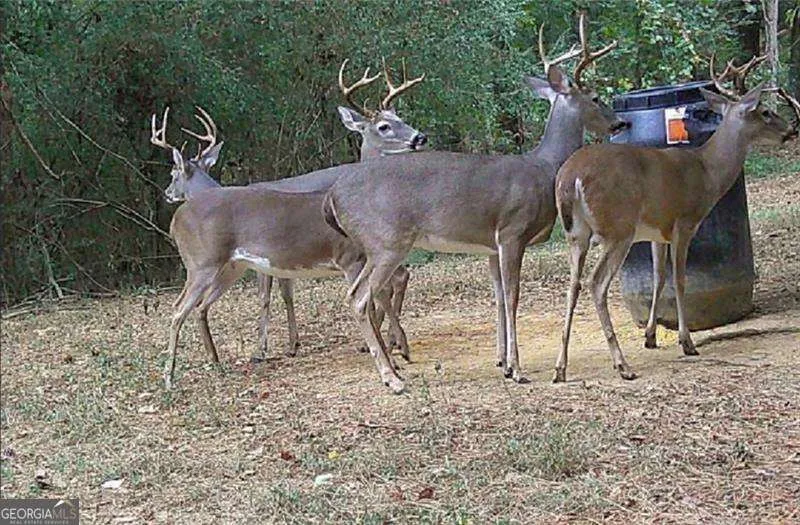 267 Hammond RD SE Calhoun, GA 30701