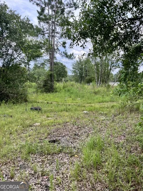 0 Jacobs ST Nahunta, GA 31553