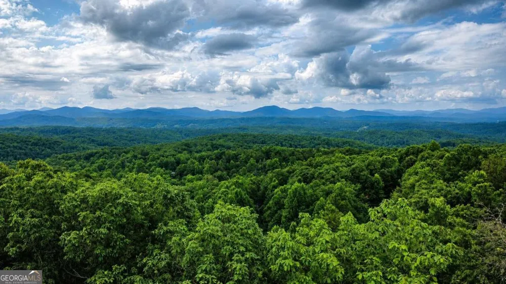 629 My Mountain RD Morganton, GA 30560