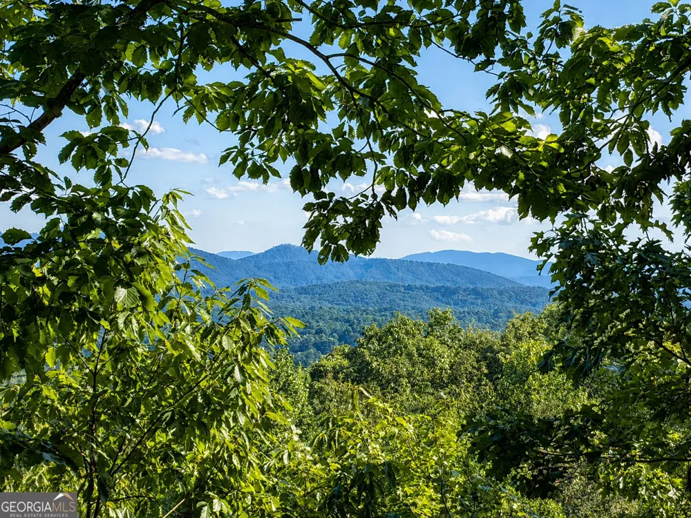 629 My Mountain RD Morganton, GA 30560