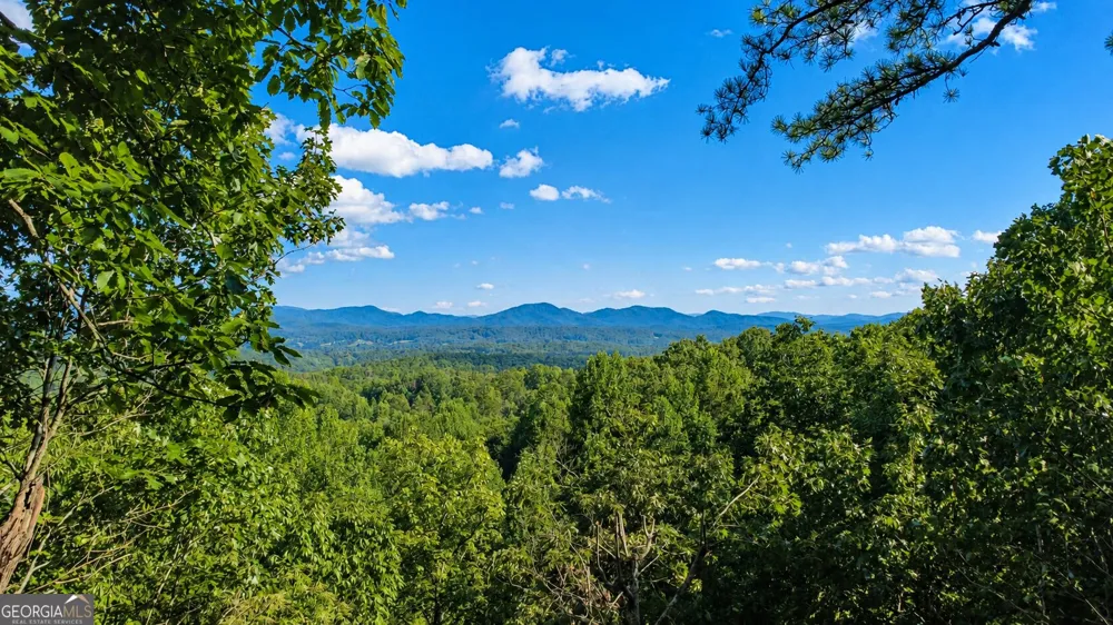 629 My Mountain RD Morganton, GA 30560