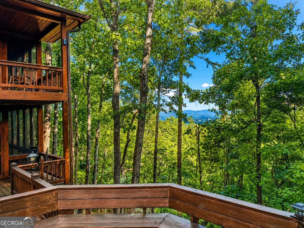 629 My Mountain RD Morganton, GA 30560