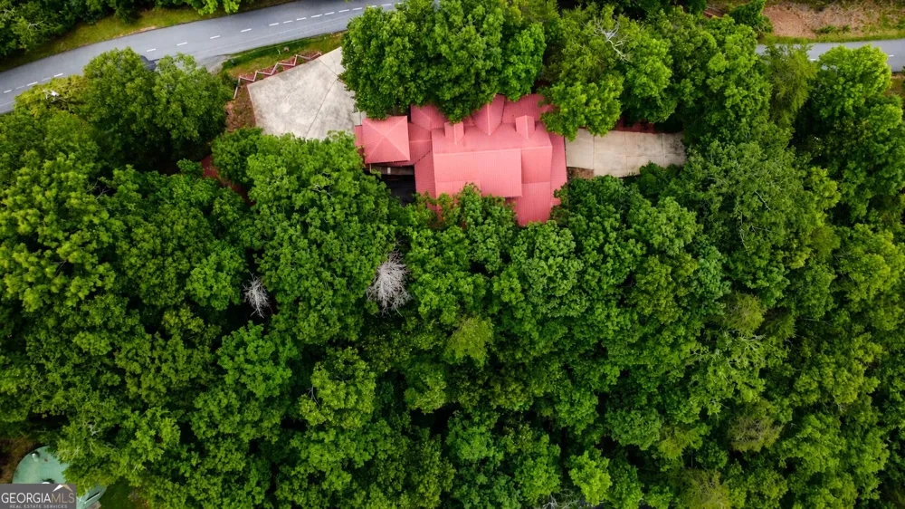 629 My Mountain RD Morganton, GA 30560